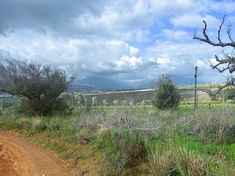 10 Bedroom Property for Sale in Stellenbosch Farms Western Cape